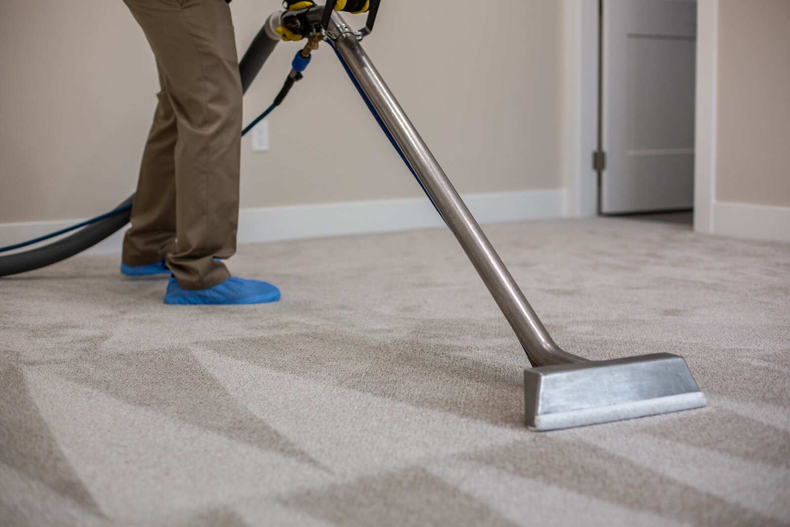 Clean Carpets