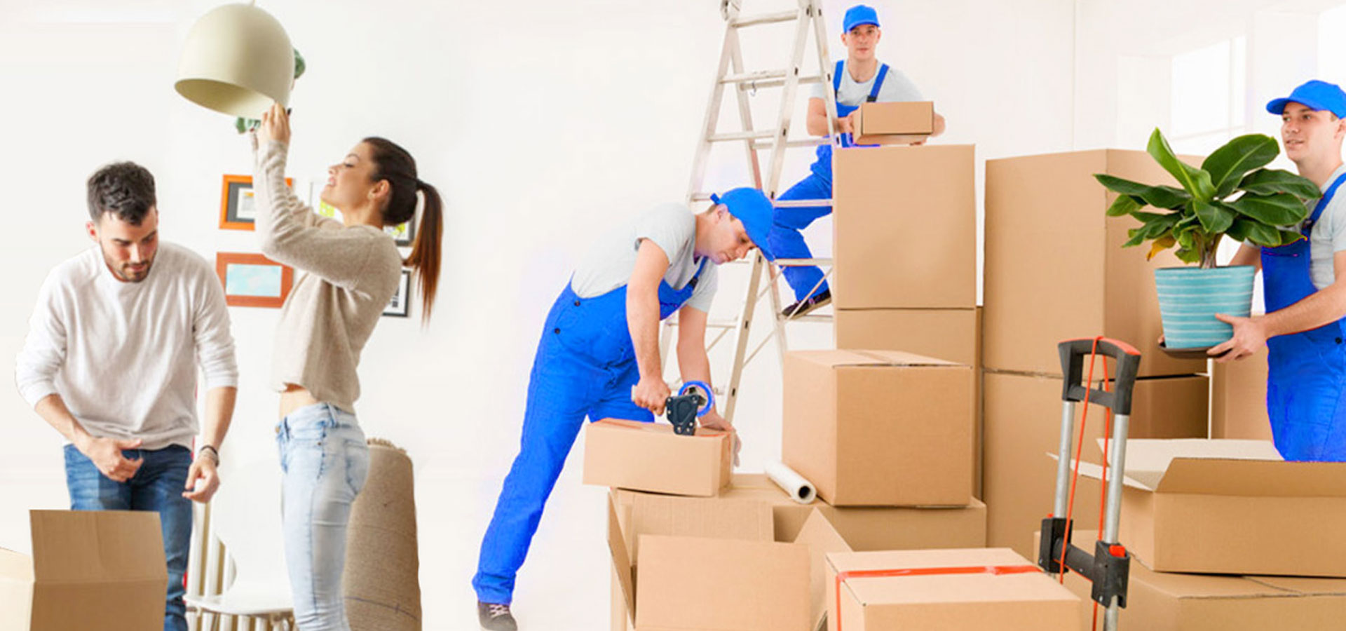 Relocation Services vs. Moving Companies: Understanding the Difference