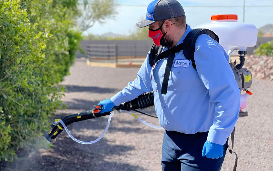 A Healthy Living By Hiring Pest Exterminator Services