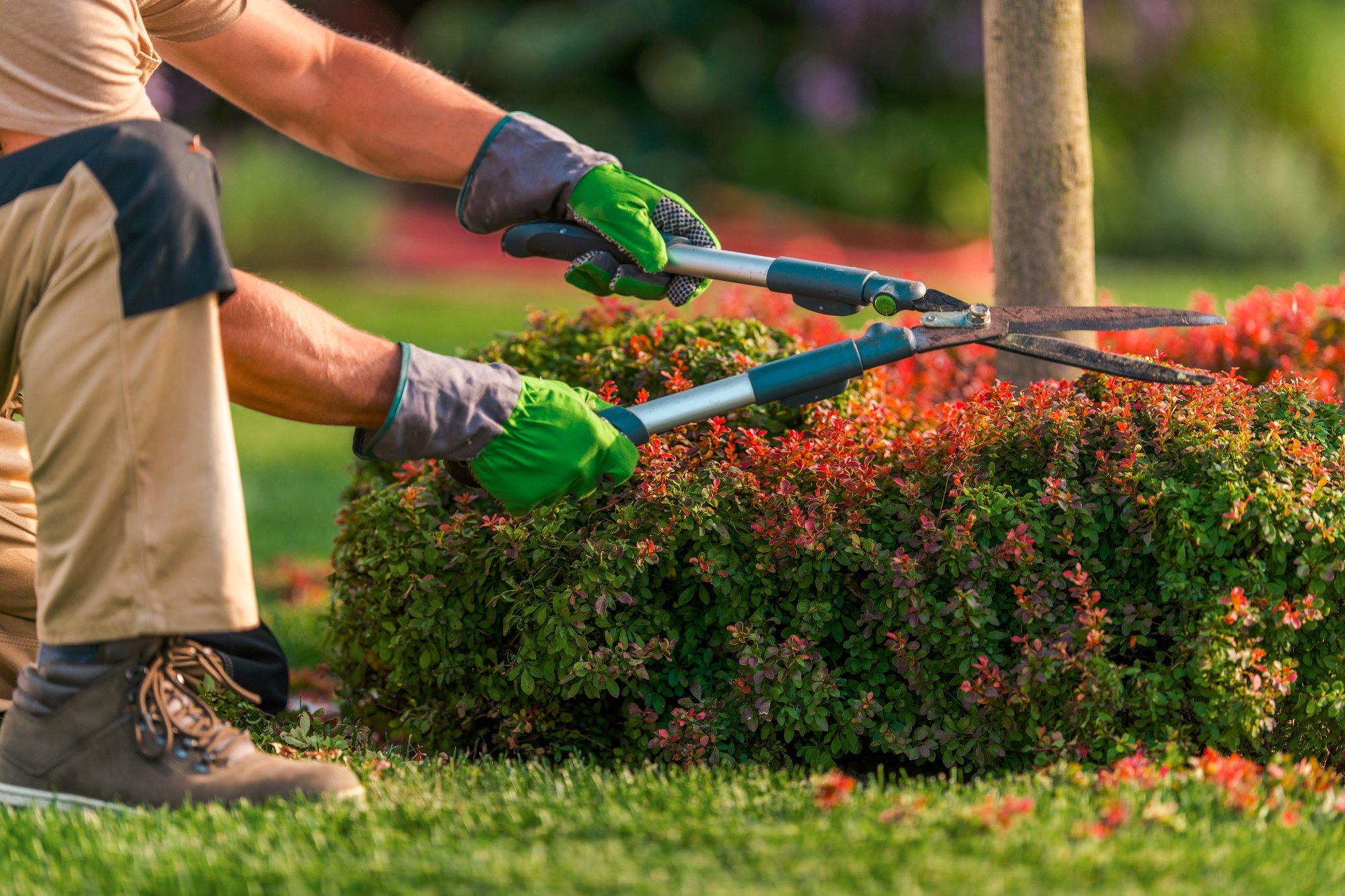 Landscaping Companies